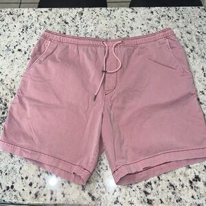 American Eagle FlexLived-In Trekker Short purpleish/pink
In a 7" inseam XXL